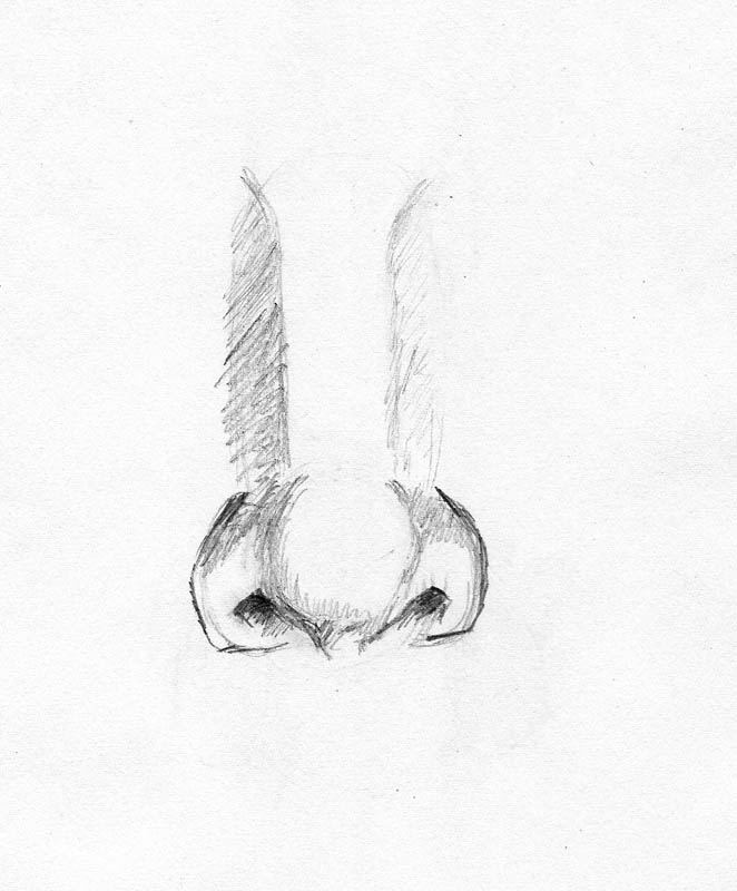 draw how nose sketch to Let's a  Drawing People Nose Draw for  Tutorial